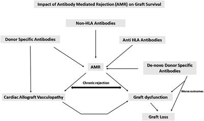 Vascular rejection in cardiac allograft vasculopathy: Impact on graft survival